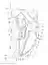 Fig. 17 - Rear fuel tank