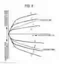 Fig. 09 - Shock absorber