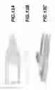 Fig. 10 - Trimaran hull and boat