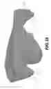 Fig. 29 - Trimaran hull and boat