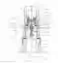 Fig. 05 - Refillable bottle for dispensing a fluid product