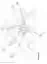 Fig. 08 - Shipping Container and Forkstrap Connector Therefor