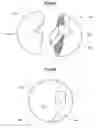 Fig. 09 - TRANSPORTABLE PACKAGING UNIT AND METHOD FOR PRODUCING SAID TYPE OF PACKAGING UNIT
