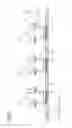 Fig. 07 - Sheet conveying device and image recording apparatus