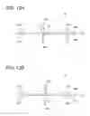 Fig. 13 - Sheet, sheet conveying apparatus and sheet conveying method