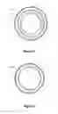 Fig. 04 - Electro-chemical filter apparatus