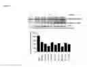 Fig. 10 - INHIBITORS OF DEUBIQUITINATING PROTEASES