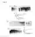 Fig. 32 - INHIBITORS OF DEUBIQUITINATING PROTEASES