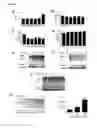 Fig. 41 - INHIBITORS OF DEUBIQUITINATING PROTEASES
