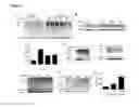 Fig. 43 - INHIBITORS OF DEUBIQUITINATING PROTEASES