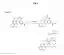 Fig. 03 - Processes and intermediates in the preparation of C5aR antagonists
