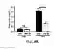 Fig. 11 - Treatment of pulmonary and other conditions