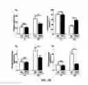Fig. 22 - Treatment of pulmonary and other conditions