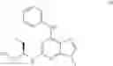 Fig. 31 - Calcium channel agonists