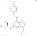 Fig. 37 - Calcium channel agonists
