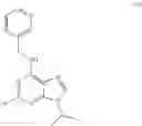 Fig. 43 - Calcium channel agonists