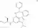 Fig. 48 - Calcium channel agonists