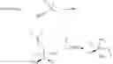 Fig. 05 - Ruthenium-based complexes, their preparation and use as catalysts