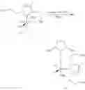 Fig. 38 - Ruthenium-based complexes, their preparation and use as catalysts