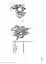 Fig. 02 - ANTIBODY LIKE PROTEIN