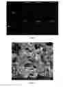 Fig. 07 - Self-assembling peptide cages from coiled-coil peptide modules