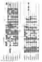 Fig. 07 - Methods for producing peptides including HERV-W envelope motifs and for producing antibodies specific for the peptides