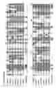 Fig. 09 - Methods for producing peptides including HERV-W envelope motifs and for producing antibodies specific for the peptides
