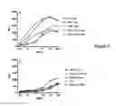 Fig. 06 - INTERLEUKIN-2 FUSION PROTEINS AND USES THEREOF