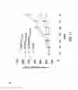 Fig. 14 - Anti-angiogenic agent and methods of using such agent
