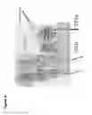 Fig. 07 - NOVEL ANTIBODIES