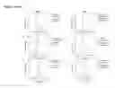 Fig. 12 - NOVEL ANTIBODIES
