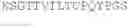 Fig. 28 - NOVEL ANTIBODIES