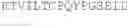 Fig. 29 - NOVEL ANTIBODIES