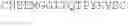 Fig. 34 - NOVEL ANTIBODIES