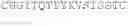 Fig. 38 - NOVEL ANTIBODIES