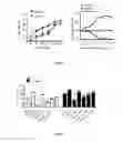 Fig. 03 - Antagonist of the BTLA/HVEM interaction for use in therapy