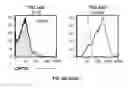 Fig. 26 - ANTI-CRTH2 ANTIBODIES AND METHODS OF USE