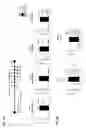 Fig. 29 - ANTI-CRTH2 ANTIBODIES AND METHODS OF USE