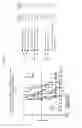 Fig. 05 - Dosages of immunoconjugates of antibodies and SN-38 for improved efficacy and decreased toxicity