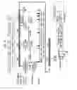Fig. 10 - Dosages of immunoconjugates of antibodies and SN-38 for improved efficacy and decreased toxicity