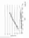 Fig. 06 - Stable formulations of immunoglobulin single variable domains