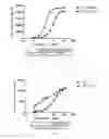 Fig. 04 - Construction and application of bispecific antibody EpCAM×CD3