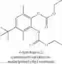 Fig. 07 - Catalyst components for the polymerization of olefins