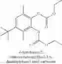 Fig. 08 - Catalyst components for the polymerization of olefins