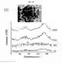 Fig. 07 - Ceramic-polymer nanocomposites