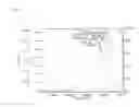 Fig. 13 - Polymers and processes for preparing the polymers