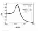 Fig. 03 - Conjugated gold nanoparticles
