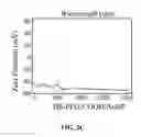 Fig. 05 - Conjugated gold nanoparticles