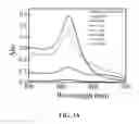 Fig. 07 - Conjugated gold nanoparticles
