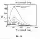 Fig. 15 - Conjugated gold nanoparticles